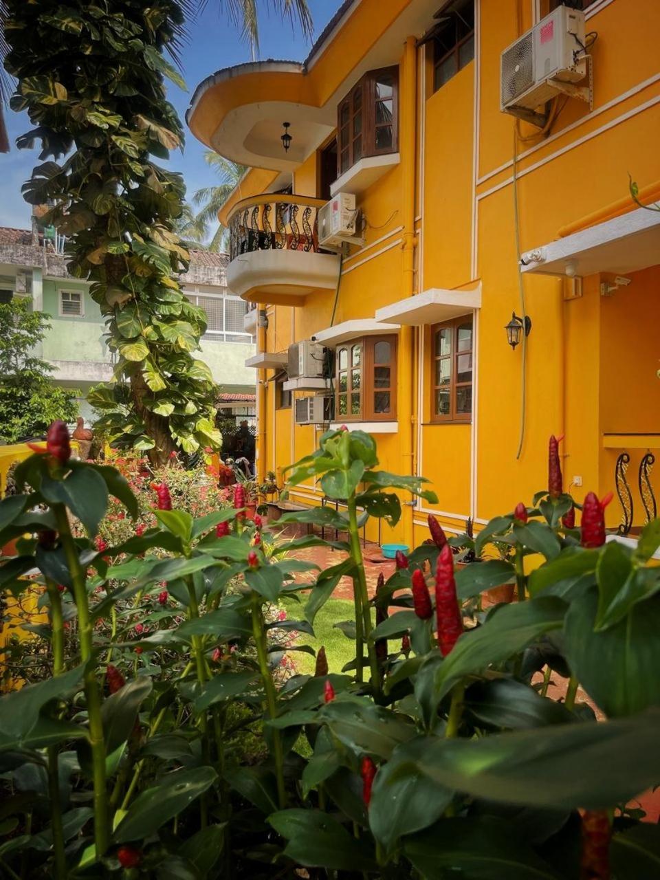 Minria Guest house *